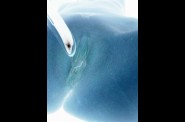 porn-art-022.jpg