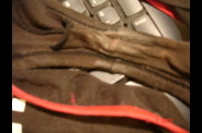 Mes-culottes-apr-s-une-bonne-journ-e---04215.jpg