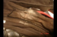 Mes-culottes-apr-s-une-bonne-journ-e---04217.jpg