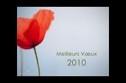 2010