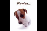 Pardon