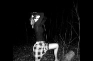 4-Dans les bois