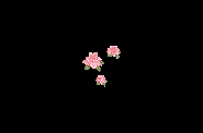 3roses.gif