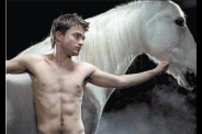 Horse-Nature
