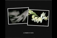 LOVE-DE-ROSES