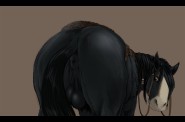 860524 - Narse Brave angus