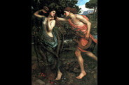 apollo und daphne