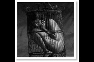 woman in cage