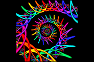 spiral by luisbc-d75gep9