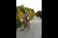 Velo