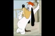 droopy10