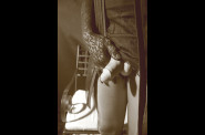 Serie004 8123