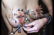 Aiguilles dans les seins (170)