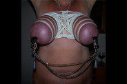 Travail des seins5 (220)