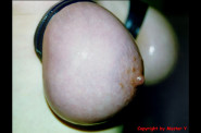 Travail des seins6 (80)