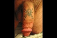 spider-tattoo-on-penis-21105572
