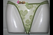 string 13143 vert pale recto