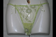 string 13833 vert pale recto