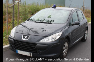 2010.168 (4).sd police-nationale peugeot-307hdi