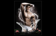 prince-naveen-pincesse-et-la-grenouille