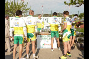 Mimosa Géant