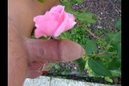 DSCF7890