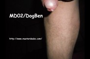 2014.Nov MD02 DogBen (08)