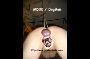 2014.Nov MD02 DogBen (8)