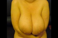 @seins (24)