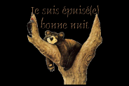 ours epuise bonne nuit ours arbr gif1 