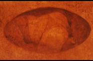 OVALTRIO