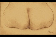 FESSES