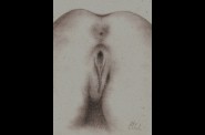 vulve
