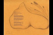cabinet-arthur-Rimbaud-poesie-erotique