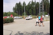 petri567