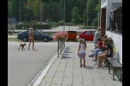 petri584