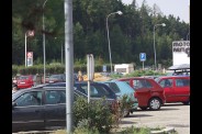 petri586