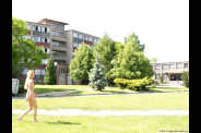 petri1006