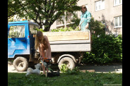 petri1033