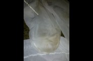 OVER BLOG OK  (13)