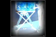 1-DSC01531