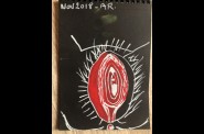 chatte-rouge-1 50942983921 o