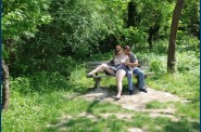 balade-dans-les-bois-2 3542 [Résolution de l'écran]
