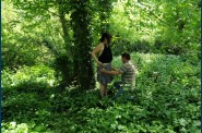 balade-dans-les-bois-2 3588 [Résolution de l'écran]