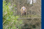 Photo 043