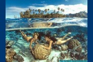 Tahitienne-Sous-la-Mer.jpg