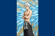 hitsugaya_by_eldanis.jpg