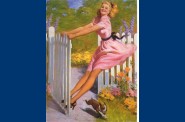 Pin-Up