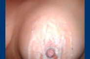 IMAG2861.jpg