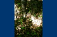 DSCN1195